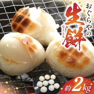 yӂ邳Ɣ[Łz  2.0kgy`         Y   qN Ε ݂܂ Ă ȕ G N Nnz