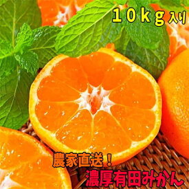 楽天市場 みかん 10kg 送料無料の通販 楽天市場 みかん 10kg 送料無料の通販