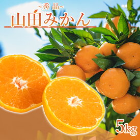 【ふるさと納税】【限定】 山田みかん 秀品 5kg S M Lサイズ いずれか おまかせ 山田出荷組合 選別 手作業 手選別 名産 山田地区 有田みかん 温州みかん 濃厚 甘味 みかん 柑橘 果物 フルーツ 果実 食品 食べ物 国産 お取り寄せ お取り寄せフルーツ 和歌山 湯浅町 送料無料