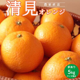 【ふるさと納税】清見 オレンジ 訳あり 5kg サイズ混合 2025年2月下旬より順次発送