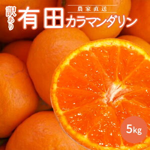 yӂ邳Ɣ[Łzy2026Ns\za̎RLcYJ}_y󂠂ƒpz5kgy~J  t݂ kz
