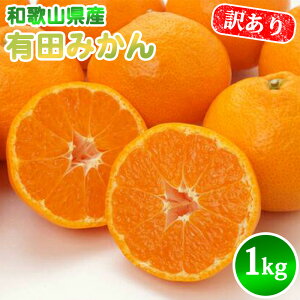 yӂ邳Ɣ[Łzy2025Ns\zLc݂ 1kg SS ` 2L TCY 󂠂 Lc ݂ t[c ʕ ʎ k Â Y Hi Hו _ƒ  _ a̎R  