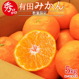 【ふるさと納税】【限定】 【数量限定】 秀品 有田みかん 5kg (2Lまたは3Lサイズおまかせ) 【ミカン 蜜柑 柑橘 温州みかん 有田みかん 和歌山 】