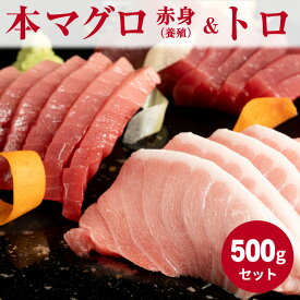 【ふるさと納税】本マグロ （養殖） 赤身 ＆ トロ セット 500g