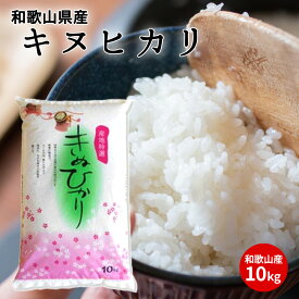 【ふるさと納税】和歌山県産キヌヒカリ 10kg【きぬひかり 送料無料 白米 上白米 国産米 キヌヒカリ お米ギフト 米 精米】