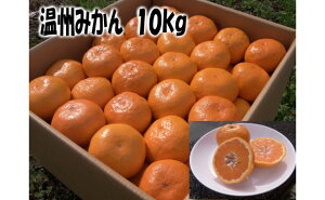 有田みかん 10kgの人気商品 通販 価格比較 価格 Com 有田みかん 10kgの人気商品 通販 価格比較 価格 Com