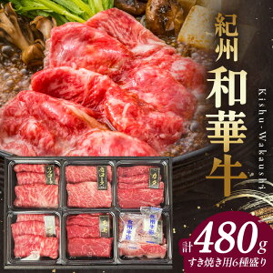 yӂ邳Ɣ[Łzyz IBa؋ Ăp Hה 6퐷 480g