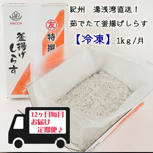 yӂ邳Ɣ[ŁzIBpI䥂łĊg炷iⓀj yցz1kg×12