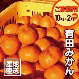 【ふるさと納税】【限定】【2025年先行予約】 【訳あり】 みかん 有田みかん 10kg＋2kg保証分 サイズ混合 11月より順次発送 【訳ありみかん 有田みかん みかん ミカン 蜜柑 柑橘 温州みかん 和歌山 ご家庭用】