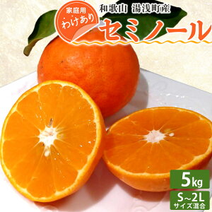 yӂ邳Ɣ[Łzy󂠂 ƒpzy2026Ns\za̎R 󒬎Y Z~m[ 5kgiS`2LTCYj2026N4{