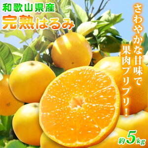 �y�ӂ邳�Ɣ[�Łz�y����z �ʓ��Ղ�Ղ�I���n �͂�� 5kg�y�~�J�� ���� �t�݂��� ���k �a�̎R �L�c �t���z