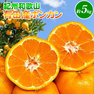 �y�ӂ邳�Ɣ[�Łz�y����z �I�B�a�̎R�L�c�Y �|���J�� 5kg�y�~�J�� ���� �t�݂��� ���k �a�̎R �L�c �ۂ񂩂�z