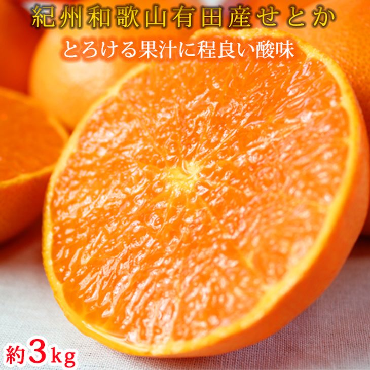 ふるさと納税 とろける食感 ジューシー柑橘 ランキングTOP5 約3kg せとか オープニング 大放出セール