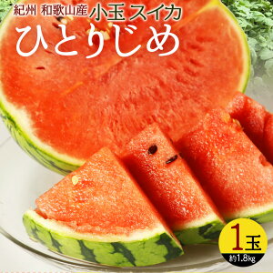 yӂ邳Ɣ[Łzy2026N s\zIB a̎RY  XCJ uЂƂ肶߁v 1ʁy XCJ Z ʁz