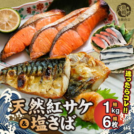 【ふるさと納税】【限定】 天然 紅サケ 1kg 塩さば 6枚 セット 選べる 発送時期 切身 フィレ 選りすぐり コク 旨み 鮭 肉厚 鯖 魚 海の幸 海鮮 魚介 食品 食べ物 おかず 料理 お弁当 ホイル焼き 煮魚 塩焼き 水産加工品 お取り寄せ 冷凍 和歌山 湯浅町 送料無料