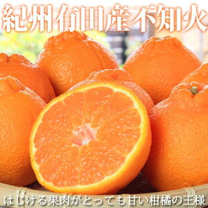 yӂ邳Ɣ[Łzy2026Ns\zyz IBLcY sm (ʂ) 2.5kgyłۂ fR| ʂ sm kz