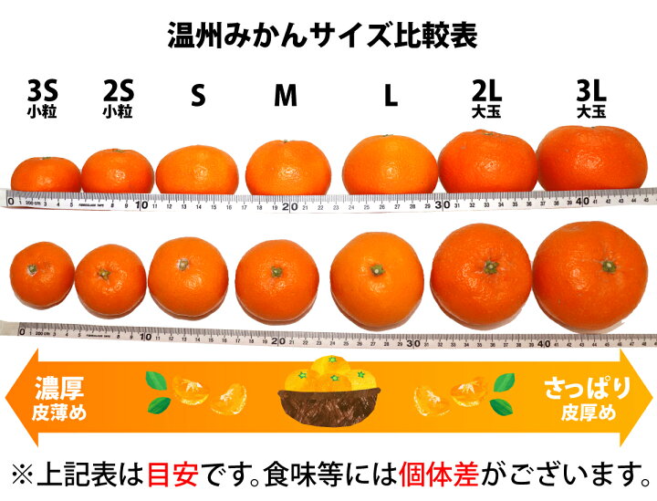 最大55%オフ! 湯浅産 田村みかん 10kg サイズおまかせ fucoa.cl 最大55%オフ! 湯浅産 田村みかん 10kg サイズおまかせ fucoa.cl