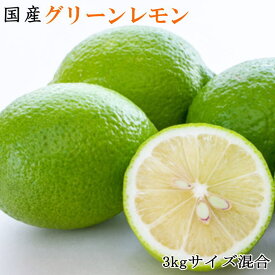 【産直】和歌山産 グリーンレモン 3kg（サイズ混合）