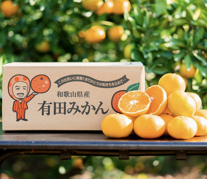 ふるさと納税 AB6052_ 先行予約 はるか 人気柑橘 家庭用 和歌山県湯浅町 みかん 3kg 有田育ちの 訳あり ふるさと納税 AB6052_ 先行予約 はるか 人気柑橘 家庭用 和歌山県湯浅町 みかん 3kg 有田育ちの 訳あり