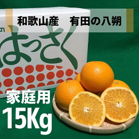 【ふるさと納税】【先行予約】和歌山県産 有田の 八朔 (はっさく) 【訳あり 家庭用】 15kg(S～4Lサイズ混合)【まごころ手選別】【はっさく ハッサク 八朔 和歌山産】