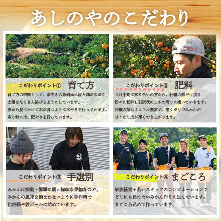 楽天市場】【ふるさと納税】【秀品】有田みかん 和歌山県産 3kg (2S~Lサイズ混合) 【まごころ手選別】【産地直送】みかん ミカン 蜜柑 送料無料 本場有田 甘い 濃厚 コク ジューシー ふるさと納税 ふるさと 寄附 先行予約 : 和歌山県湯浅町 楽天市場】【ふるさと納税】【秀品】有田みかん 和歌山県産 3kg (2S~Lサイズ混合) 【まごころ手選別】【産地直送】みかん ミカン 蜜柑 送料無料 本場有田 甘い 濃厚 コク ジューシー ふるさと納税 ふるさと 寄附 先行予約 : 和歌山県湯浅町