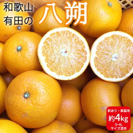 【ふるさと納税】【先行予約】和歌山県産 有田の 八朔 (はっさく) 【訳あり 家庭用】 4kg (S～4Lサイズ混合) 【まごころ手選別】【はっさく ハッサク 八朔 和歌山産】