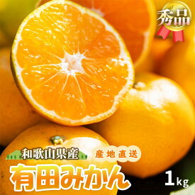 【ふるさと納税】【先行予約】【秀品】有田みかん 和歌山県有田産 1kg (2S～Lサイズ混合) 【まごころ手選別】【産地直送】【ミカン 蜜柑 柑橘 温州みかん】