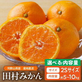 【ふるさと納税】 和歌山 湯浅町産 田村みかん 選べる 容量 5kg 10kg 2Sサイズ ミカン 蜜柑 柑橘 温州みかん 有田みかん 和歌山 小粒 小玉