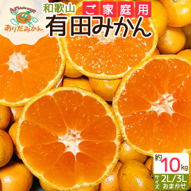 【ふるさと納税】【先行予約】【ご家庭用】和歌山 有田みかん 約10kg (2L、3Lサイズ)【湯浅町】【ミカン 蜜柑 柑橘 温州みかん 有田みかん 和歌山 有田】