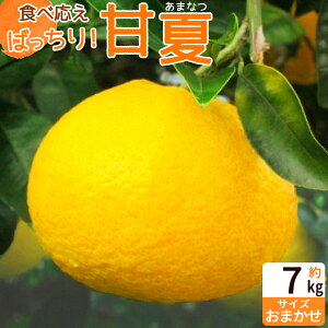 yӂ邳Ɣ[Łzy2026Ns\zyz H׉΂I É 7kg