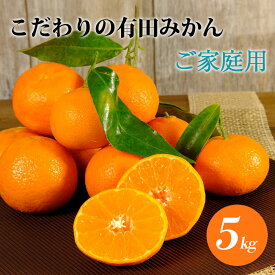 楽天市場 ふるさと納税 みかん フルーツ 果物 食品の通販 楽天市場 ふるさと納税 みかん フルーツ 果物 食品の通販