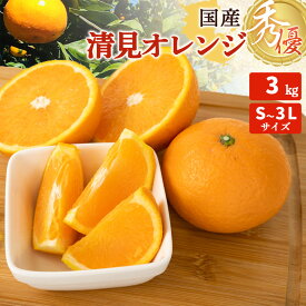 【ふるさと納税】清見オレンジ 秀優 3kg S～3Lサイズ【清見 みかん オレンジ タンゴール きよみ 柑橘 和歌山】