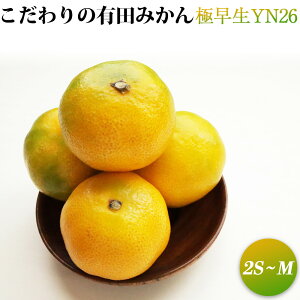 yӂ邳Ɣ[Łzy2025Ns\z̗Lc݂ ɑ YN26 2kg 2S`MTCY y󂠂 ƒpzy~J  k B݂ a̎R Lc z