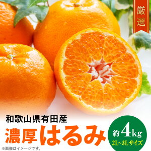 yӂ邳Ɣ[Łzy2026Ns\zyz a̎RLc̔Z ͂ 4kg (2L`3LTCY)yn~ t ~J  k a̎R Lcz