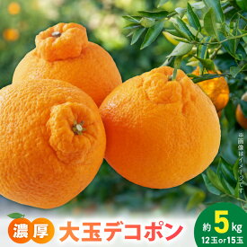 【ふるさと納税】【2026年先行予約】【限定】 デコポン 約 5kg 大玉 12玉 15玉 おまかせ 不知火 濃厚 甘味 ほどよい 酸味 バランス 抜群 味わい 大人気 有田産 厳選 フルーツ 果物 柑橘 果実 国産 食品 食べ物 おやつ デザート お取り寄せ フルーツ 和歌山県 湯浅町 送料無料