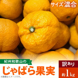 【ふるさと納税】国産 紀州 和歌山 じゃばら 果実 訳あり 家庭用 1kg