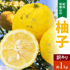 【ふるさと納税】国産 紀州 和歌山 ご家庭用 訳あり 柚子 約 1kg