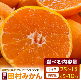 【ふるさと納税】【限定】 田村みかん 選べる 容量 サイズ　約5kg～ 約10kg サイズ混合 みかん ご家庭用 訳あり 不揃い 和歌山プレミアムブランドみかん 小玉 中玉 大玉 フルーツ 果物 和歌山 湯浅町 送料無料