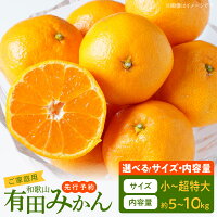 ふるさと納税 限定 高評価 ご家庭用 有田みかん 選べる サイズ 内容量 ...