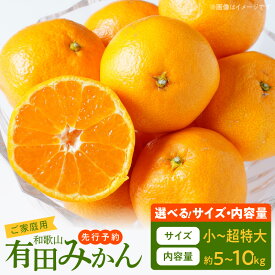 【ふるさと納税】【限定】【2025年先行予約】【TVで紹介されました】 高評価 ご家庭用 有田みかん 選べる サイズ 内容量 2S ~ 3L 約 5kg ~ 10kg サイズ混合 温州みかん みかん フルーツ 柑橘 果物 果実 甘味 酸味 バランス 人気 期間限定 お取り寄せ 和歌山県 湯浅町