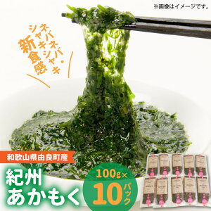 yӂ邳Ɣ[ŁzIB  RǒY 100g × 10pbN 2025NY C h{f Lx ~l H@ lolo VLVL VH ̂Ȃ ǂ a  ^pbN 