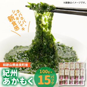 yӂ邳Ɣ[ŁzRǒY IB  100g × 15pbN 2025NY ^pbN ̂܂ Hׂ JVE }OlVE ~l h{f Lx H@ p tRC_ X[p