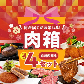 【ふるさと納税】お楽しみ 肉箱 紀州和華牛 肉 霜降り 濃厚 赤身 ガチャ お楽しみ 選べる 厳選 お試し ドキドキ 黒毛和牛 ハンバーグ メンチカツ ステーキ ロース ヒレ 焼肉 すき焼き しゃぶしゃぶ 盛り合わせ コロッケ ローストビーフ 食品 和歌山県 湯浅町 送料無料