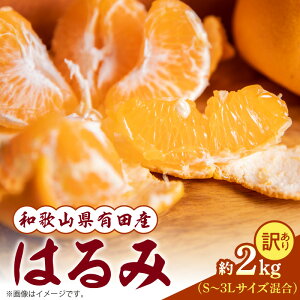 �y�ӂ邳�Ɣ[�Łz�a�̎R���L�c�Y �͂�� 2kg �y�󂠂� �E�ƒ�p�z�y�n���~ �t�� �~�J�� ���� ���k �a�̎R �L�c�z