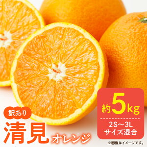 yӂ邳Ɣ[Łzyzy2026Ns\z 󂠂  IW a̎R Lc 2S`3LTCY 5kg