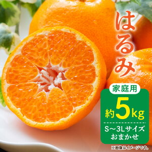 yӂ邳Ɣ[Łzyz y2026Ns\zƒp ͂ a̎R Lc S`3LTCY 傫C 5kg