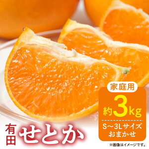 yӂ邳Ɣ[Łzyzy2026Ns\zƒp Ƃ a̎R Lc S`3LTCY 傫C 3kg