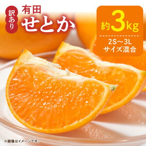 yӂ邳Ɣ[Łzyz y2026Ns\z 󂠂 Ƃ 3kg 2S`3LTCY uh LcY  [ Z ʏ` Y ʕ t[c ʎ Hi Hו  fU[g  