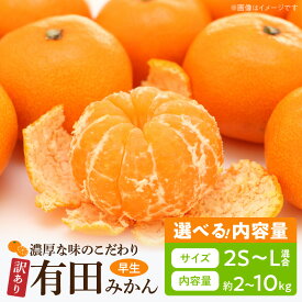 【ふるさと納税】【訳あり 家庭用】【TVで紹介されました】濃厚な味わいのこだわり 有田みかん 内容量 選べる 2kg～10kg (早生みかん・大小混合)
