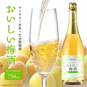 yӂ邳Ɣ[Łz~ Xp[NO 750ml   IB썂~ gp C RN [  _ Y {i ~ ~  AR[ Y  a̎R  